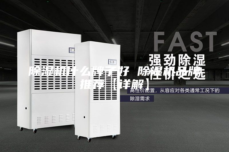 除濕機(jī)什么牌子好 除濕機(jī)品牌推薦【詳解】