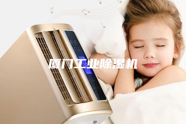 廈門工業(yè)除濕機(jī)