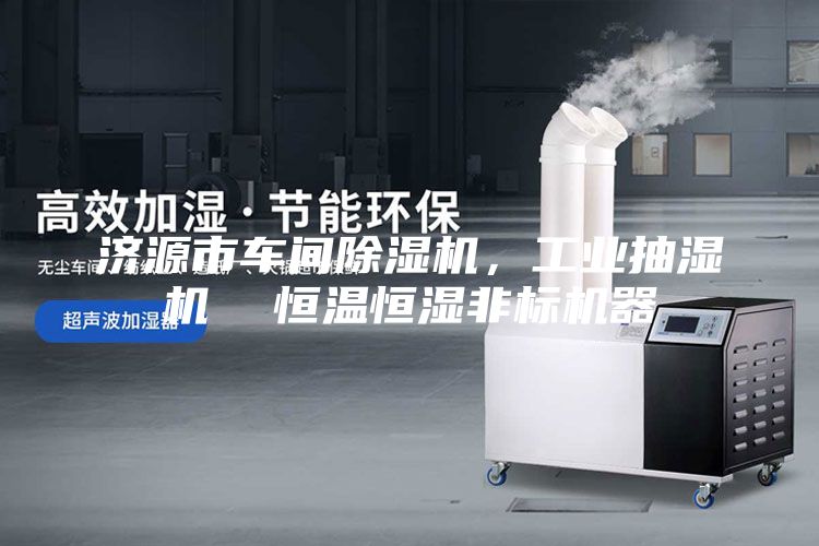 濟(jì)源市車間除濕機(jī)，工業(yè)抽濕機(jī)  恒溫恒濕非標(biāo)機(jī)器