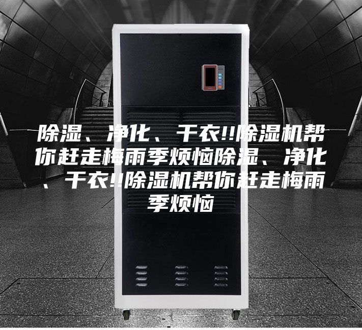 除濕、凈化、干衣!!除濕機幫你趕走梅雨季煩惱除濕、凈化、干衣!!除濕機幫你趕走梅雨季煩惱