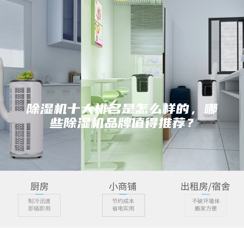 除濕機十大排名是怎么樣的，哪些除濕機品牌值得推薦？