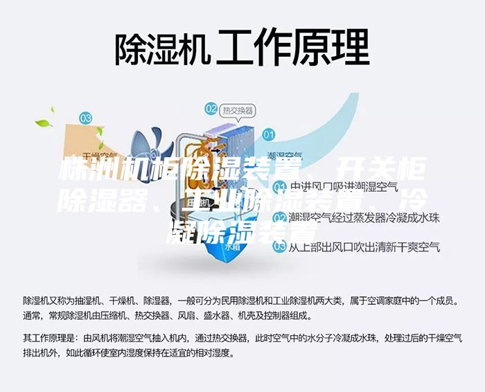 株洲機(jī)柜除濕裝置、開關(guān)柜除濕器、工業(yè)除濕裝置、冷凝除濕裝置