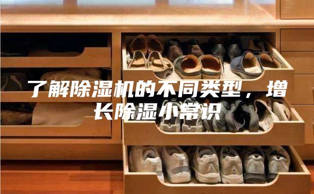 了解除濕機的不同類型，增長除濕小常識