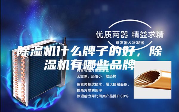 除濕機(jī)什么牌子的好，除濕機(jī)有哪些品牌