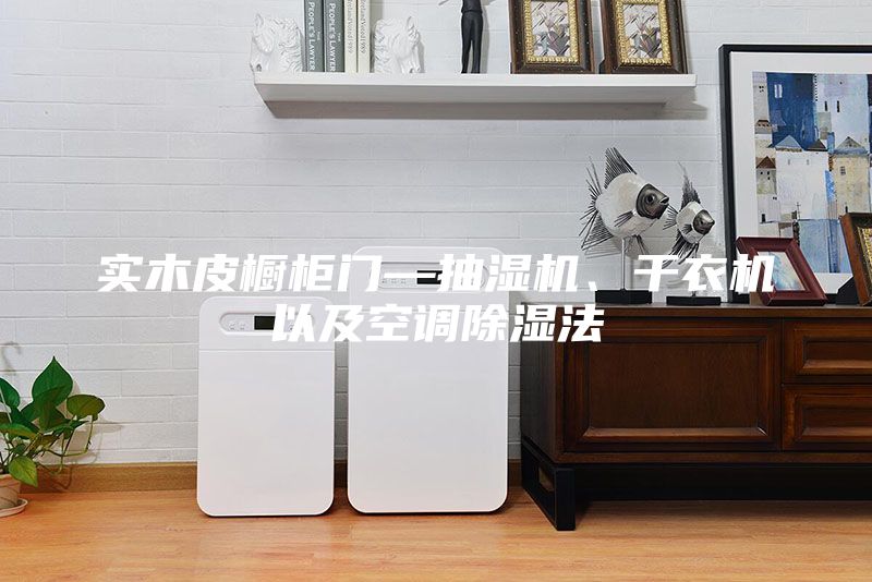 實木皮櫥柜門—抽濕機、干衣機以及空調除濕法