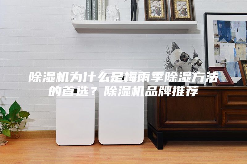 除濕機為什么是梅雨季除濕方法的首選？除濕機品牌推薦