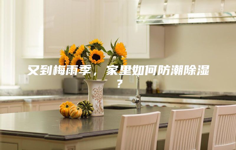 又到梅雨季，家里如何防潮除濕？