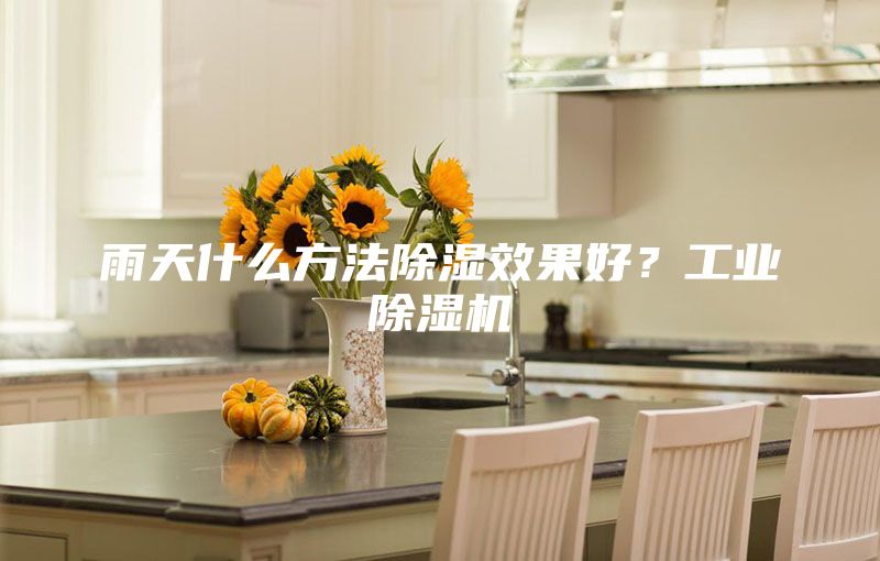 雨天什么方法除濕效果好?工業(yè)除濕機