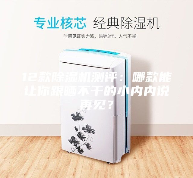 12款除濕機(jī)測(cè)評(píng)：哪款能讓你跟曬不干的小內(nèi)內(nèi)說再見？