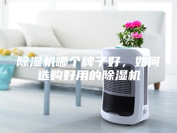 除濕機(jī)哪個牌子好，如何選購好用的除濕機(jī)