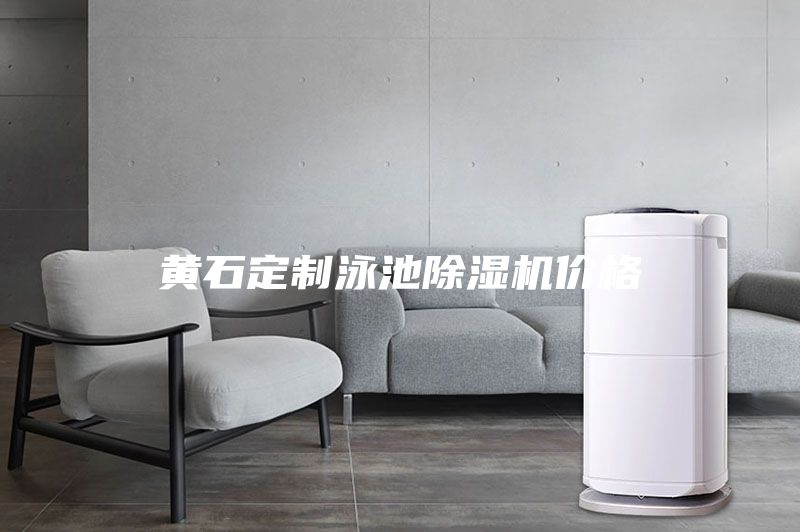 黃石定制泳池除濕機(jī)價(jià)格
