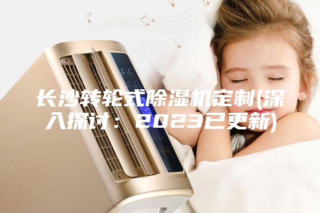 長沙轉(zhuǎn)輪式除濕機定制(深入探討：2023已更新)