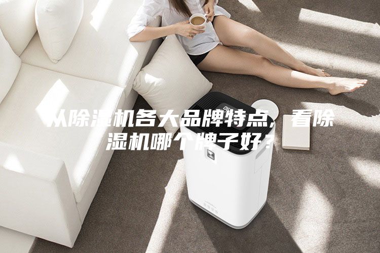 從除濕機(jī)各大品牌特點(diǎn), 看除濕機(jī)哪個牌子好？