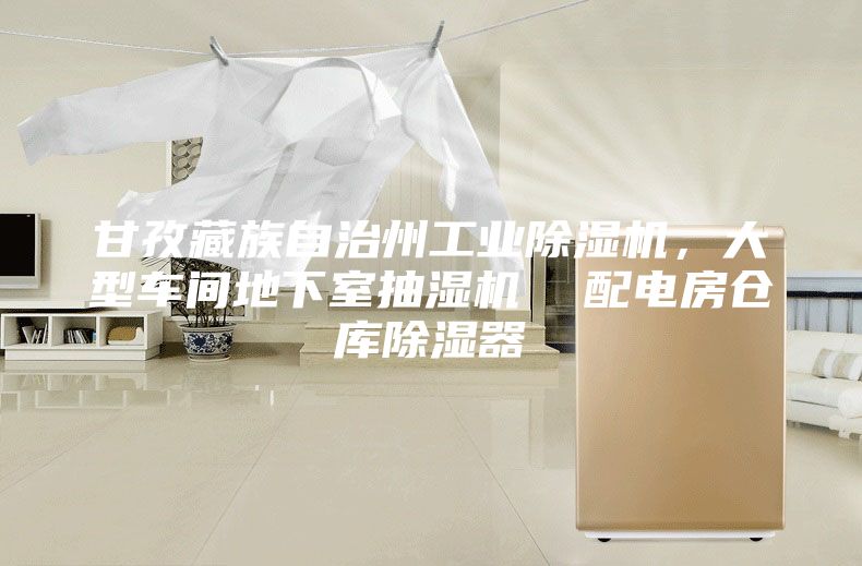 甘孜藏族自治州工業(yè)除濕機，大型車間地下室抽濕機  配電房倉庫除濕器