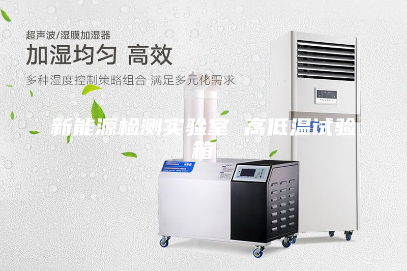 新能源檢測實驗室 高低溫試驗箱