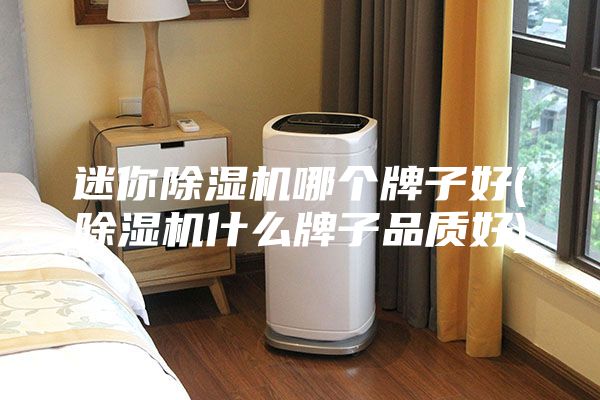迷你除濕機(jī)哪個(gè)牌子好(除濕機(jī)什么牌子品質(zhì)好)