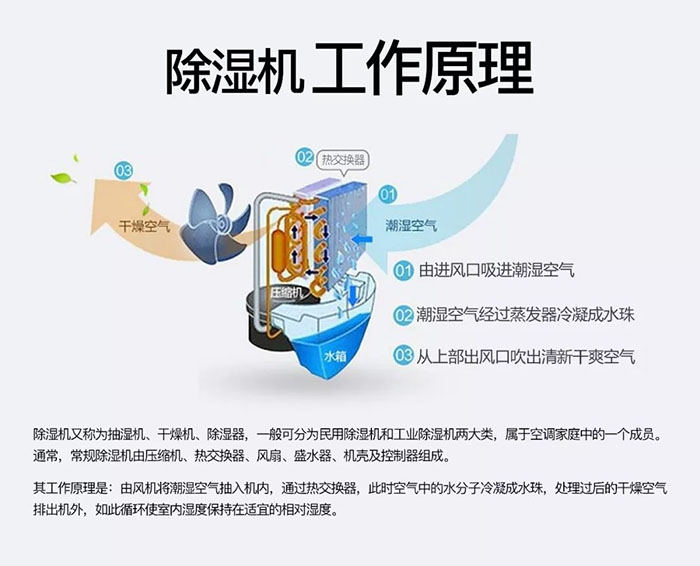 中藥材怎么烘干不變色？中藥材烘干用除濕機