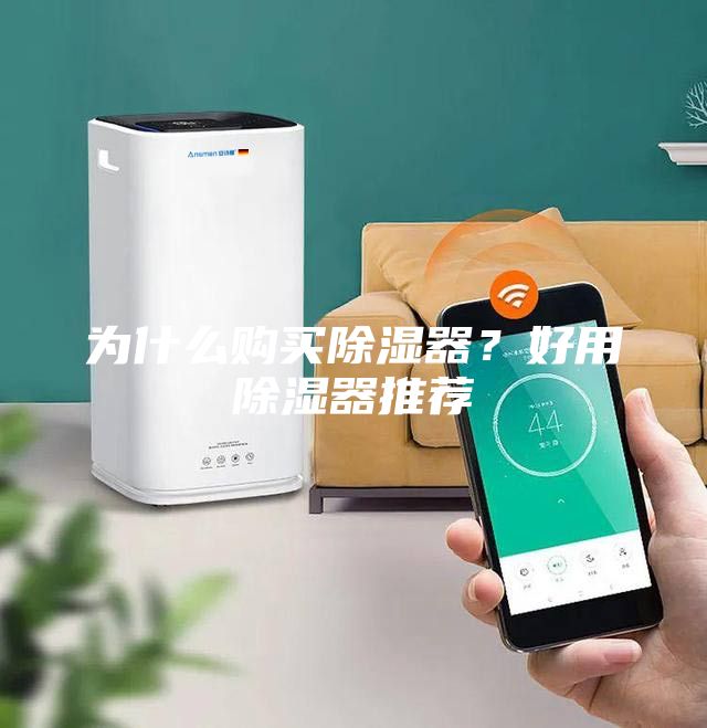 為什么購(gòu)買(mǎi)除濕器？好用除濕器推薦