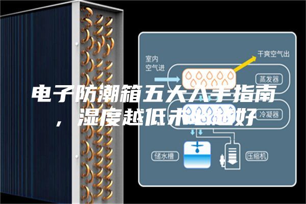 電子防潮箱五大入手指南，濕度越低未必越好