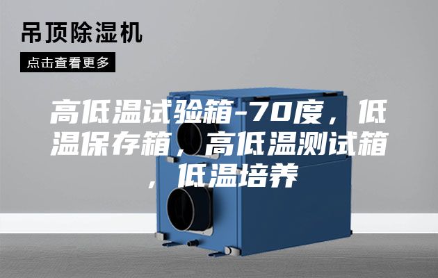 高低溫試驗(yàn)箱-70度，低溫保存箱，高低溫測試箱，低溫培養(yǎng)