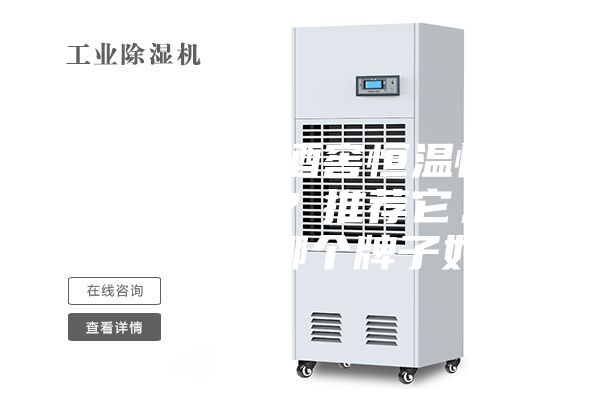 你知道進(jìn)口酒窖恒溫恒濕機(jī)的品牌嗎？推薦它。恒溫恒濕機(jī)哪個牌子好？